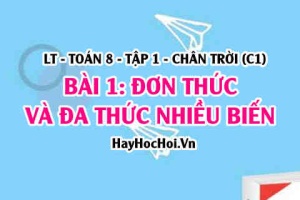 Đơn thức và đa thức nhiều biến, đơn thức đa thức thu gọn, cách cộng trừ đơn thức? Toán 8 Chân trời tập 1 Bài 1 C1